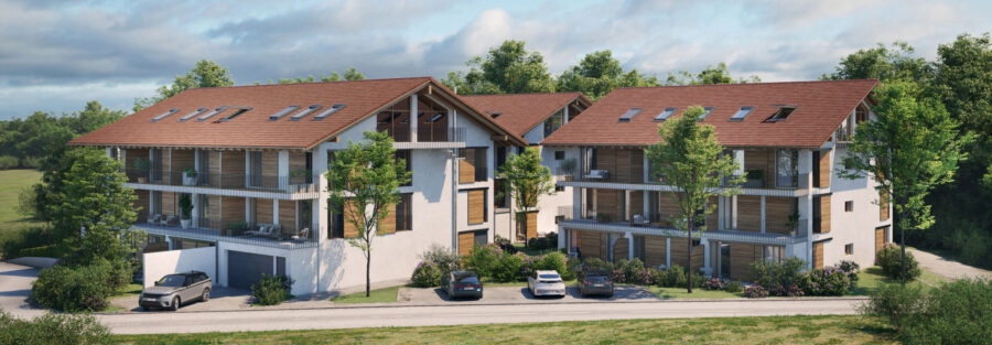 Blaesig Architekten Mei Hoamat Final Überarbeitung website