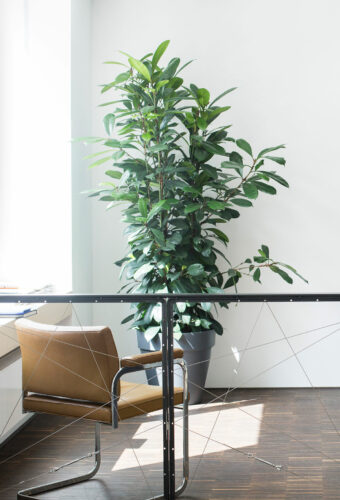 LEICH Tphysics Büro 2